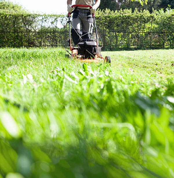 istock Young Man Mowing Lawn in Spring Garden 2249384637