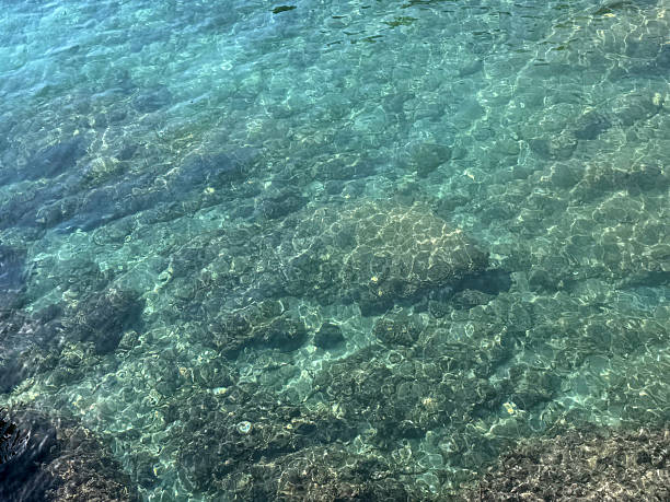 istock Mediterranean sea crystal clear water with algae at the bottom. 2249394113