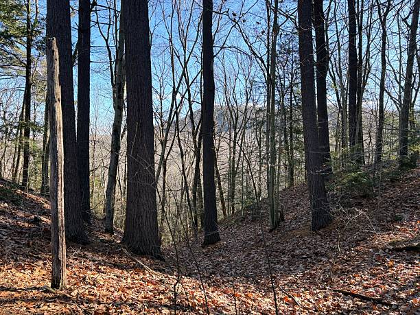 istock Mount Holyoke Range State Park in Amherst, Massachusetts 2249397948