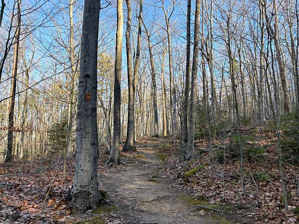 istock Mount Holyoke Range State Park in Amherst, Massachusetts 2249397960