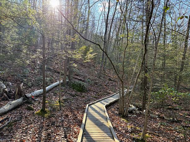 istock Mount Holyoke Range State Park in Amherst, Massachusetts 2249397988