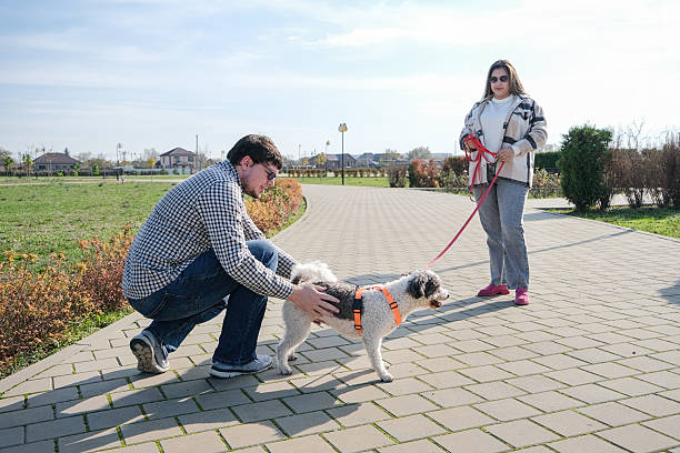 istock Couple walk dog in park 2249399155
