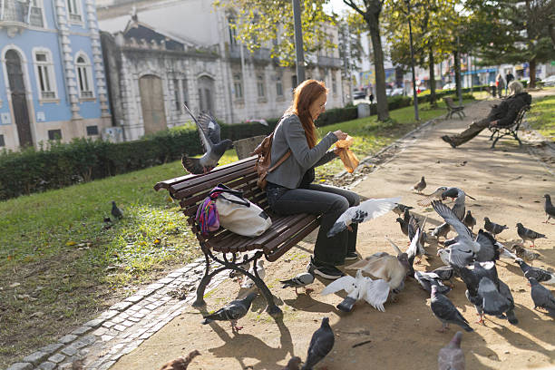 Woman sitting on a park bench, interacting with a flock of pigeons in a public space