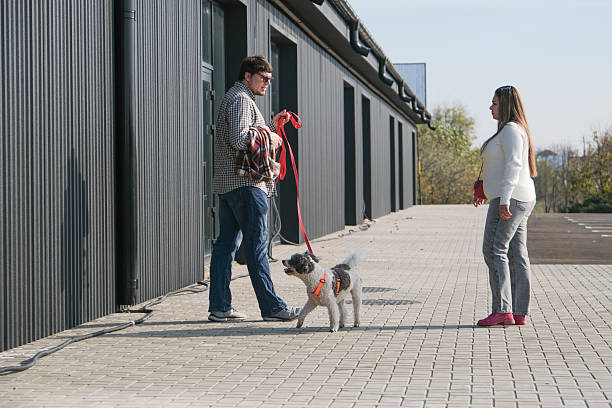istock Couple walk dog in park 2249403215