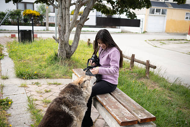 Latin Girl and Mixed breed Dog