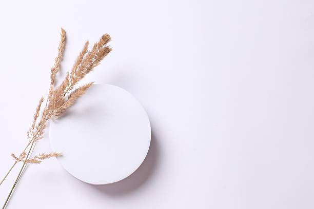 istock Beautiful dried flowers on a white podium. Place for text, top viw 2249404380