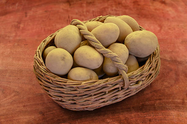 Freshly harvested potatoes in an old wicker basket on a wooden table