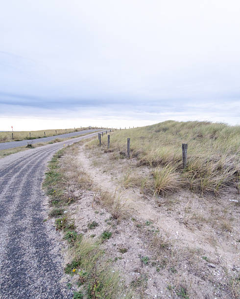 the beautiful island of Rømø with sand and dune landscape in sunshine and blue sky in Denmark