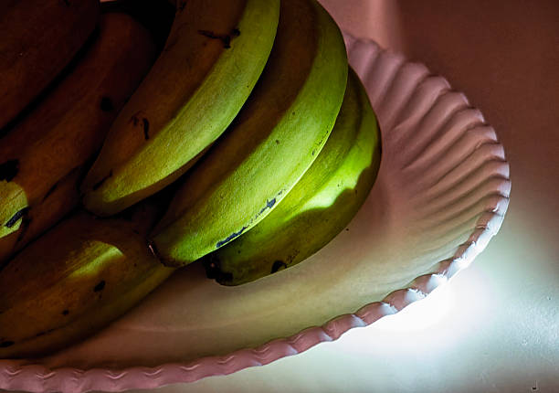 Large bunch of unripe green bananas hanging from a stalk on a banana tree