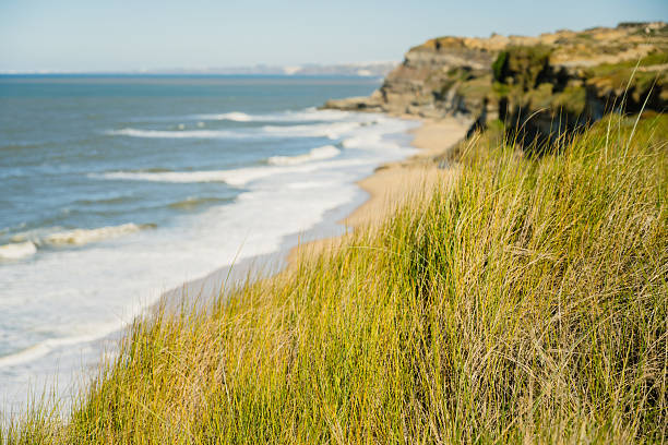 beautiful sea landscape, closeup of stone on the beach, sea coast with high hills, wild nature