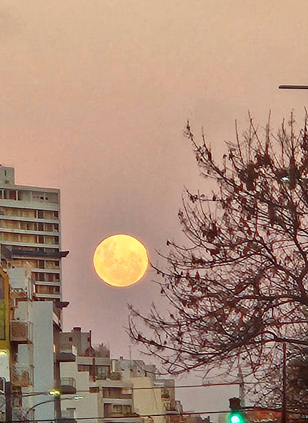 istock huge moon at dusk in Buenos Aires 2249412802