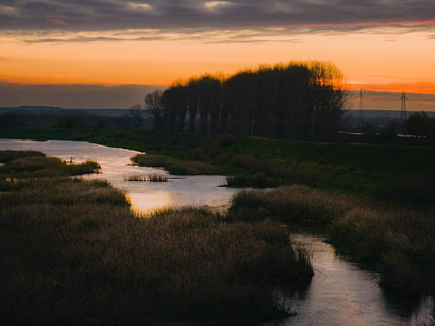 A serene landscape capturing a dramatic sunset with vibrant orange and purple hues in the sky. A calm river winds through a marshy area filled with tall reeds and grass, reflecting the fading light. A row of dark tree silhouettes lines the horizon, with distant power lines visible against the colorful dusk backdrop.