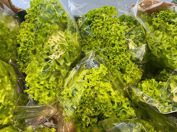 istock Fresh green leaf lettuce in clear packaging at a grocery store display 2249419896