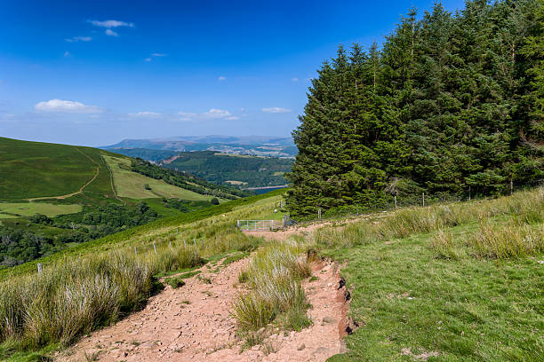 Summer landscape in Mid Wales with a walking path overlooking Talybont Reservoir