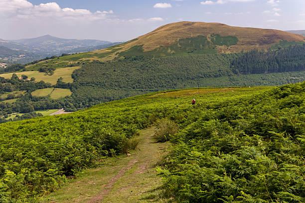 istock Lush Green Hills and Ferns in Brecon Beacons 2249422847