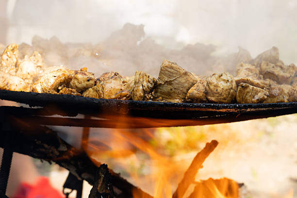 Marinated chicken are cooking on fire. Delicious meal.