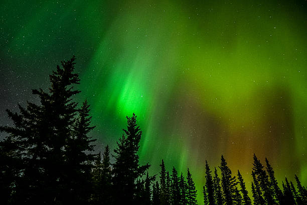 istock Aurora norther lights in Alaska 2249439325