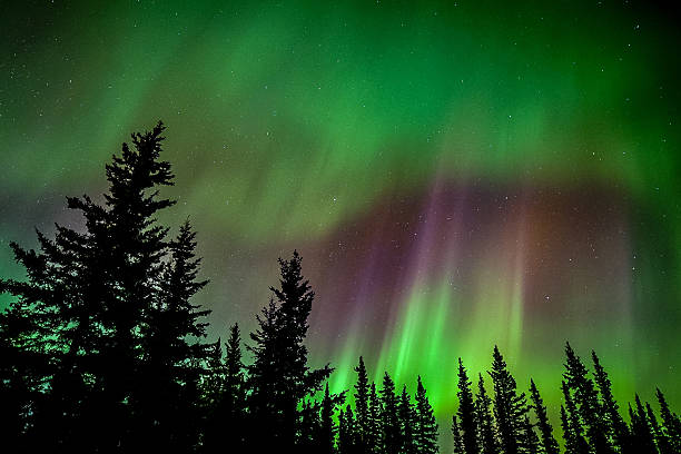 istock Aurora norther lights in Alaska 2249439327