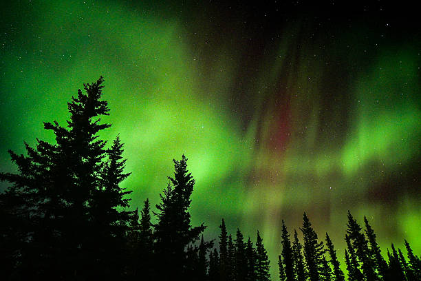 istock Aurora norther lights in Alaska 2249439332