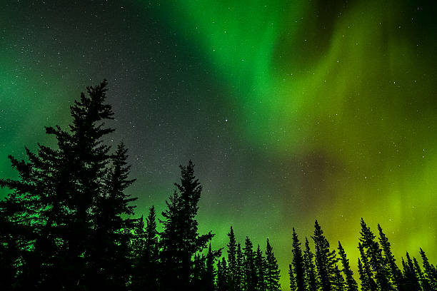istock Aurora norther lights in Alaska 2249439349