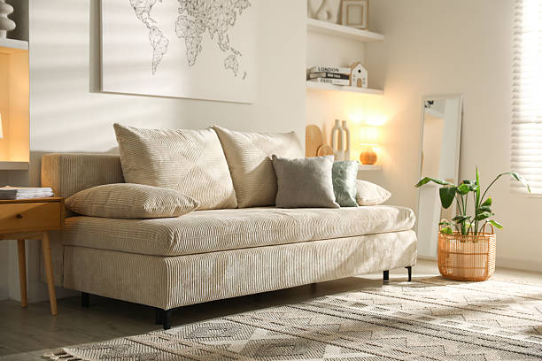 istock Comfortable sofa with pillows and houseplant in living room 2249447829