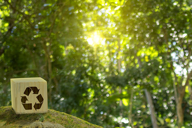 istock Wooden cube with a recycle symbol on a ground with a blurred forest background. Concept of recycling 2249447948