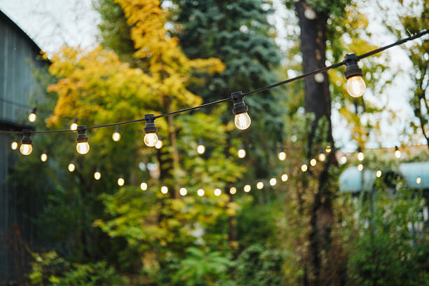 istock String lights glow softly in a garden setting among trees with autumn foliage. 2249448277