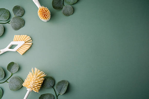 istock Cleaning brushes and green leaves arranged on a pastel green surface 2249448438