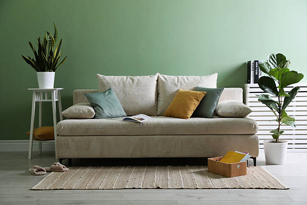 istock Comfortable sofa with pillows and houseplants near green wall indoors 2249453405