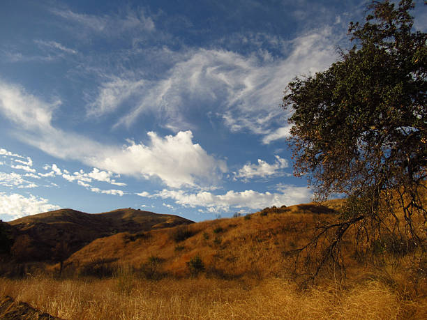 Oak Trees, Hills and Swirling Clouds Chaparral