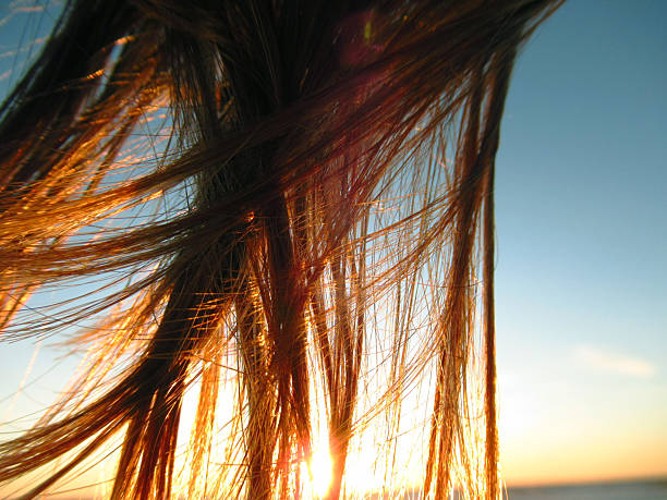 istock Light Brown Hair Close-up with Sunset 2249456645