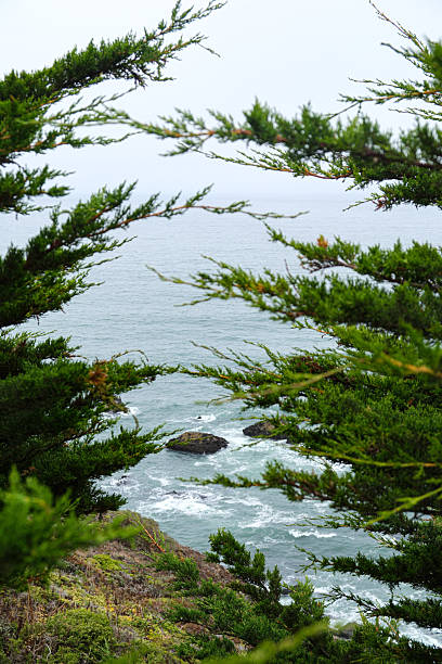 California Coast Ocean