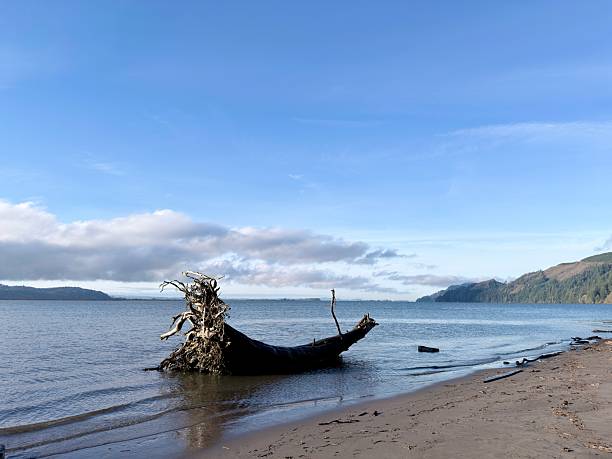 French Beach Provincial Park located along the west coast of Vancouver Island.