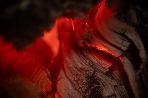 High-detail macro photograph of glowing embers and burning wood texture. Warm fiery colors, organic patterns, soft depth of field, and abstract natural shapes. Suitable for backgrounds, design elements, artistic concepts, and creative projects.