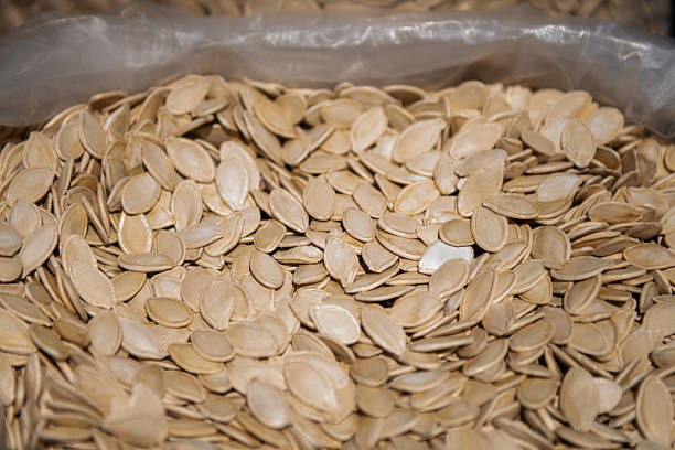 Flat, oval-shaped dried pumpkin seeds densely packed together, stored in a clear plastic-lined container for food use