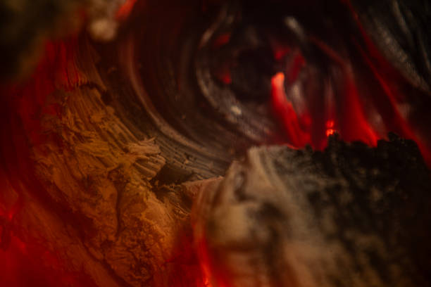 High-detail macro photograph of glowing embers and burning wood texture. Warm fiery colors, organic patterns, soft depth of field, and abstract natural shapes. Suitable for backgrounds, design elements, artistic concepts, and creative projects.