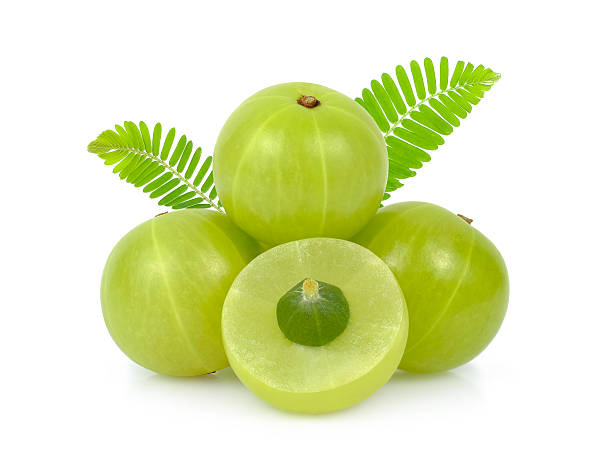 indian gooseberry or Amla (Phyllanthus emblica) with leaf isolated on white background