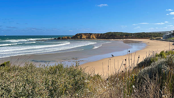 istock Lone Surfer Walking Towards Ocean 2249467151