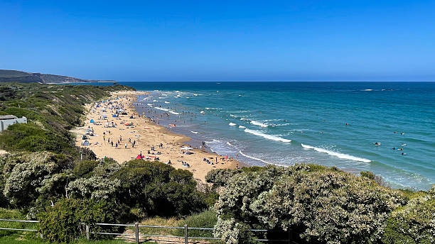 istock Beach Goers in Torquay, Australia 2249467173