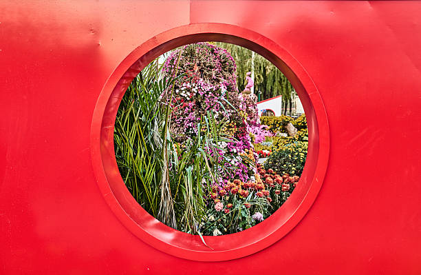 Chinese style window and green plants
