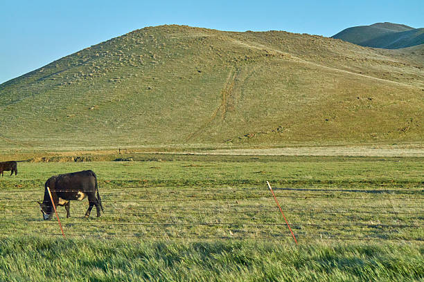 A solo journey through the California farmland and Sacramento California