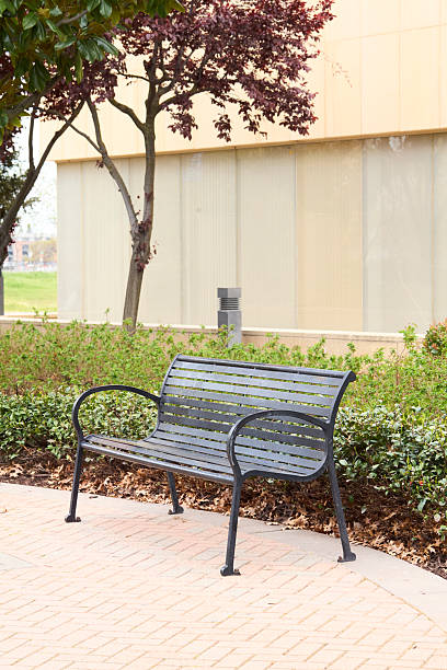 istock Bench in an urban park 2249471458