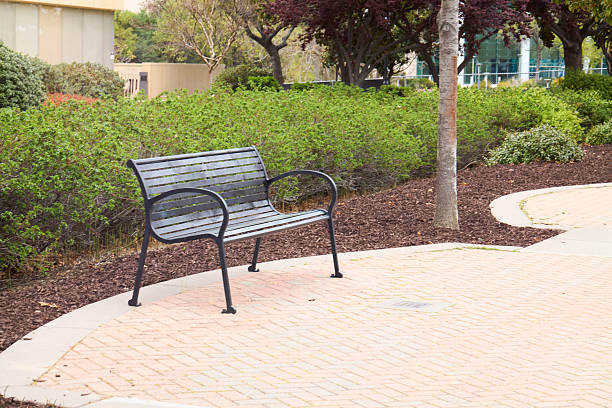 istock Bench in an urban park 2249471459