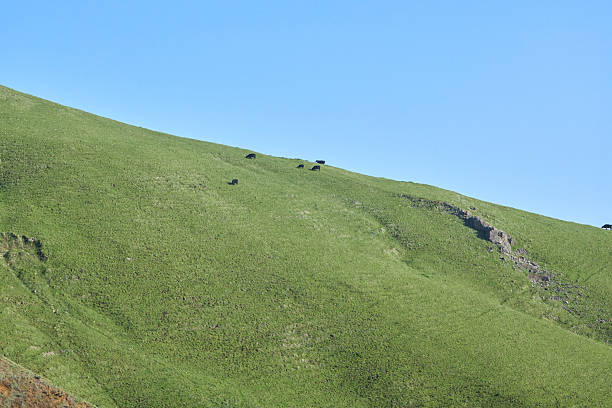Farmland and Mountains by the sea