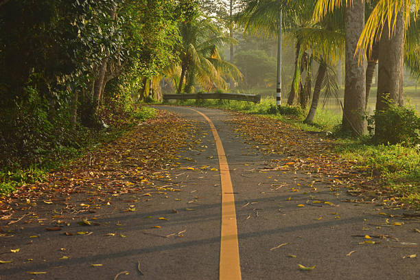 Pathway with Falling Leaves at Public Park at morning light