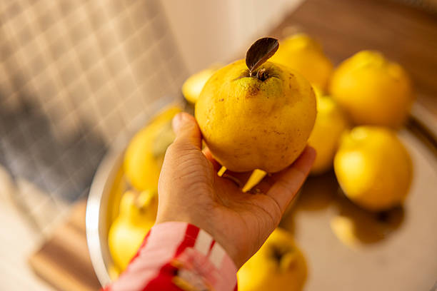 Ripe Quince Fruit for Healthy Eating