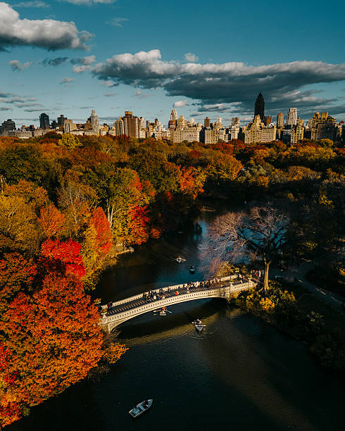 Aerial view of Central Park in New York City