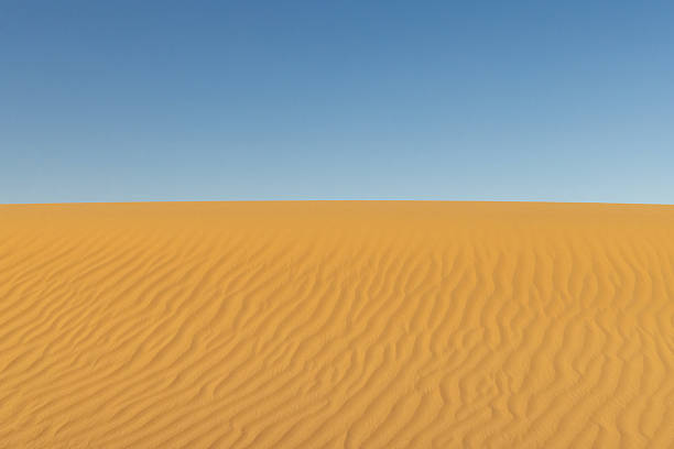 A vast sand dune glows with warm golden light at sunset. The crest forms a sharp ridge, with wind-carved ripples spreading across the slope. Calm, expansive desert scene evokes solitude, travel, and nature's timeless beauty. Perfect for themes of exploration, adaptation, and outdoor adventure.