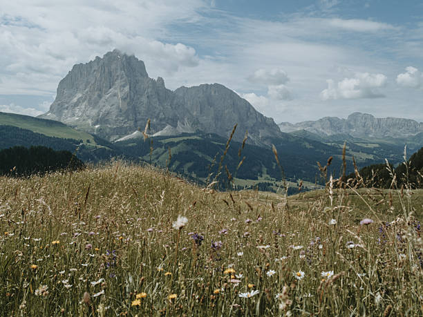 istock Panoramic Dolomiti Peaks from Seceda Hiking Trail, Italy 2249494141