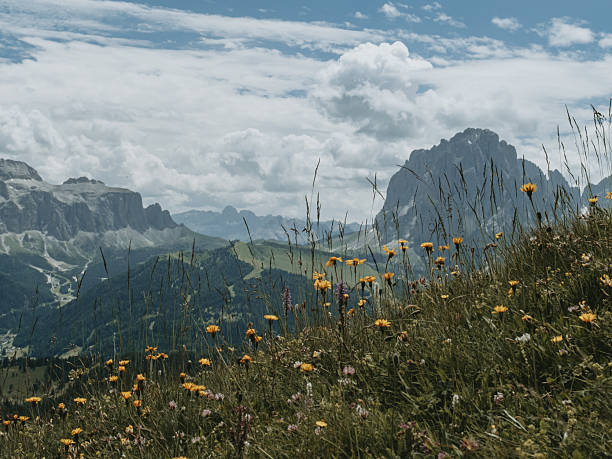 istock Dolomiti Alps Panorama from Seceda Mountain Trail 2249494182